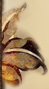 wstaw l