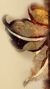 wstaw p