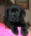 z�lty chlopak